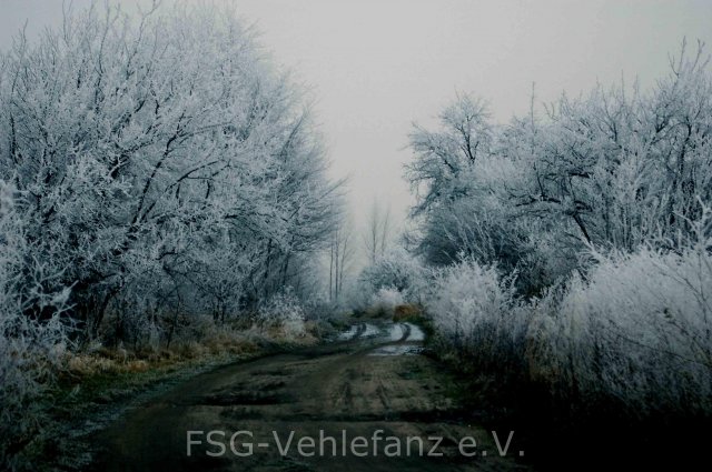 Flugtag  22 12 07  IMGP0995